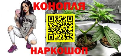 гашишное масло Камышлов