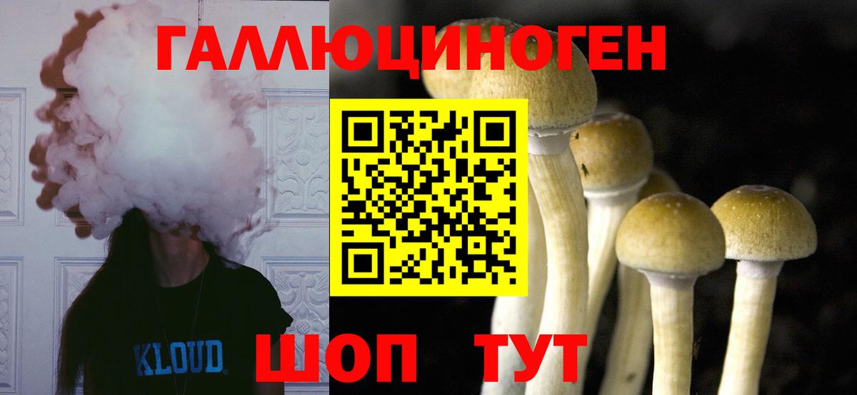 Галлюциногенные грибы Magic Shrooms  Вход с VPN  Псилоцибиновые грибы Magic Shrooms  Елизово 